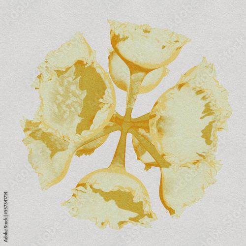 hand drawn illustration of an hand drawn illustration yellow flowers blooming in watercolor style in 3D render photo