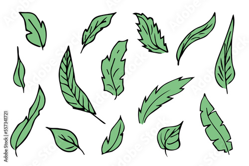Set of hand drawn simple leaf. Eco doodle clipart. Botanical illustration
