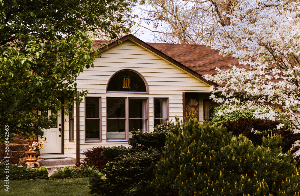 Front view of suburban Midwestern house in spring with blooming dogwood tree in foreground