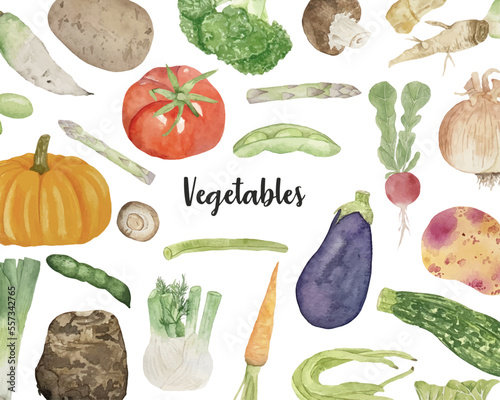 Watercolor background with various vegetables on white background, top view, flat layout. Concept of healthy eating, food background. Frame of vegetables