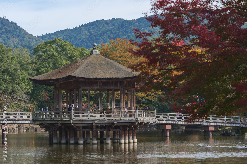 A view of Ukimido in Nara Park on a clear autumn day
