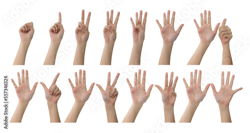 Female hand count from zero to ten. Set of Beautiful hand and finger gesture shape symbol of number for countdown. Isolated on white background with copy space and clipping path.