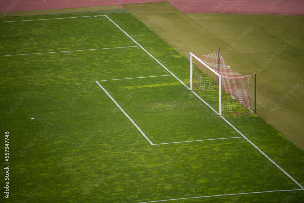 Obraz premium Sports stadium with soccer goal. Football or soccer goal post on a green grass pitch on stadium.