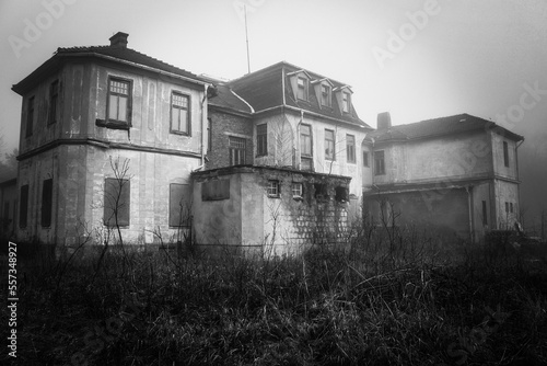Fototapeta Naklejka Na Ścianę i Meble -  Black and white photo of an old luxurious estate. Lost place