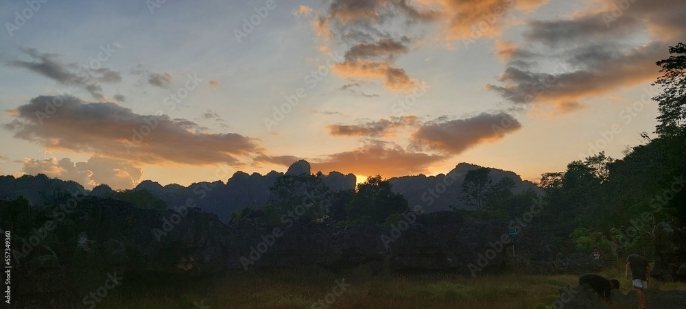 Fototapeta premium Natural Landscape of Indonesia. Green trees in forest. Day time photo