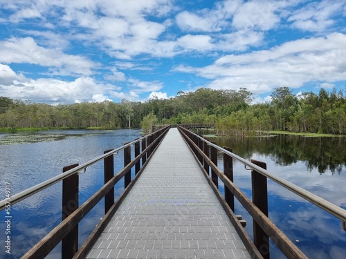 Fototapeta Naklejka Na Ścianę i Meble -  Boardwalk Through a wetland setting surrounded by trees. Urunga wetlands New South Wales Australia