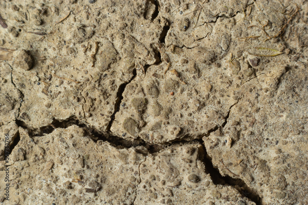 The ground has cracks in the top view for the background or graphic design with the concept of drought and death The ground has cracks in the top view for the background or graphic design with the concept of drought and death