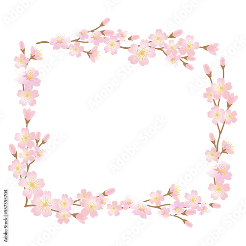 Vector frame illustration of cherry blossom branches