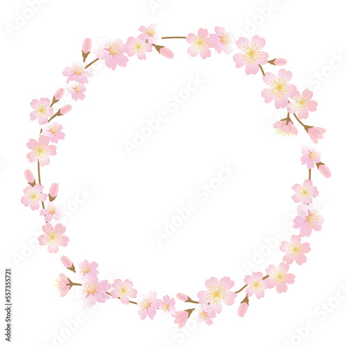 Vector frame illustration of cherry blossom branches