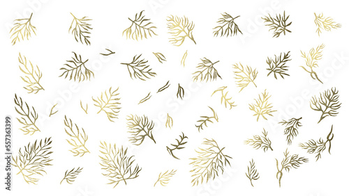Set of golden branches and leaves for design elements for wedding, Christmas, New Year, birthday, cards, stickers, banners. Elements isolated on white background