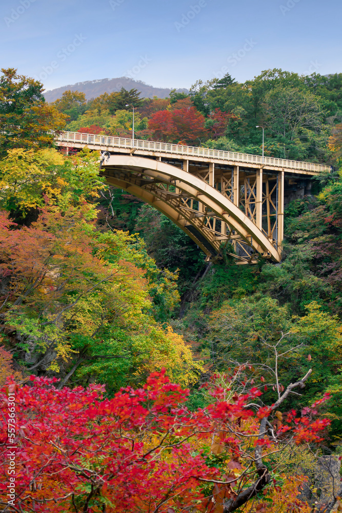 Ofukazawa highway bridge spanning over Naruko Gorge with autumn foliage taken from the Narukokyo Resthouse, at the end of the Naruko Gorge Walking Trail in Miyagi Prefecture, Japan. Ofukazawa highway bridge spanning over Naruko Gorge with autumn foliage taken from the Narukokyo Resthouse, at the end of the Naruko Gorge Walking Trail in Miyagi Prefecture, Japan.