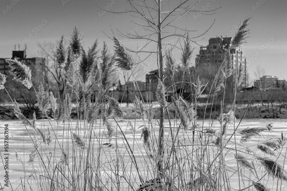 Fototapeta premium MONTREAL, Verdun district of Montreal in winter. Parc Arthur-Therrien In Montreal Verdun. Winter in Montreal