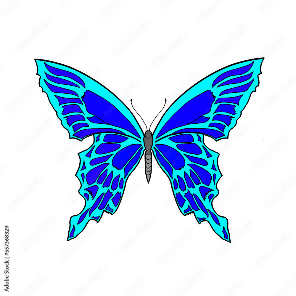 Fototapeta premium Ilustration of a butterfly with color 