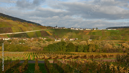 Vineyard in autumn. View over the village.