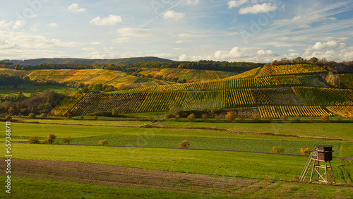 Beautiful view over wine hills in autumn time