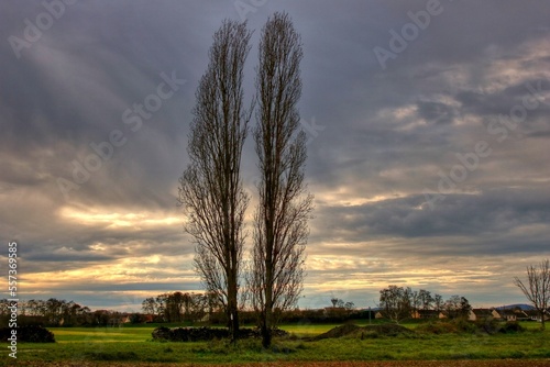 Bild auf Leinwand Paysage et peupliers.