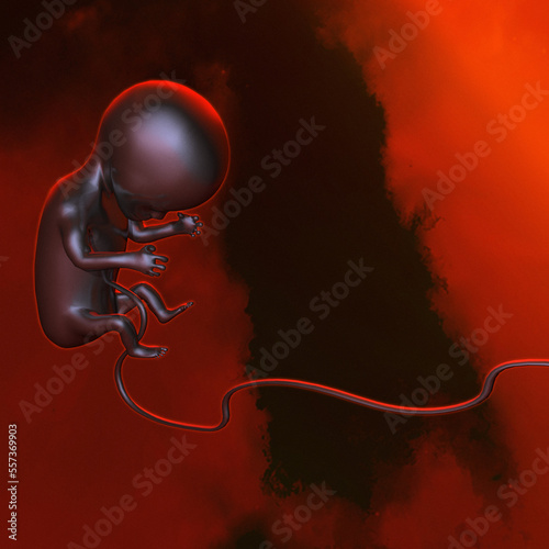 Foetus, illustration photo