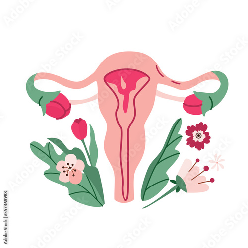 Uterus organ reproductive system with flowers, female nature. Womens