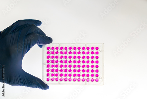 Microwell plate photo