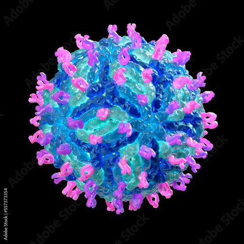 West Nile virus, illustration photo