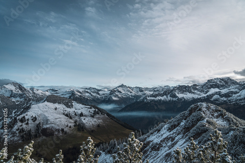 Panorama der Allgäuer Alpen vom Iseler aus gesehen