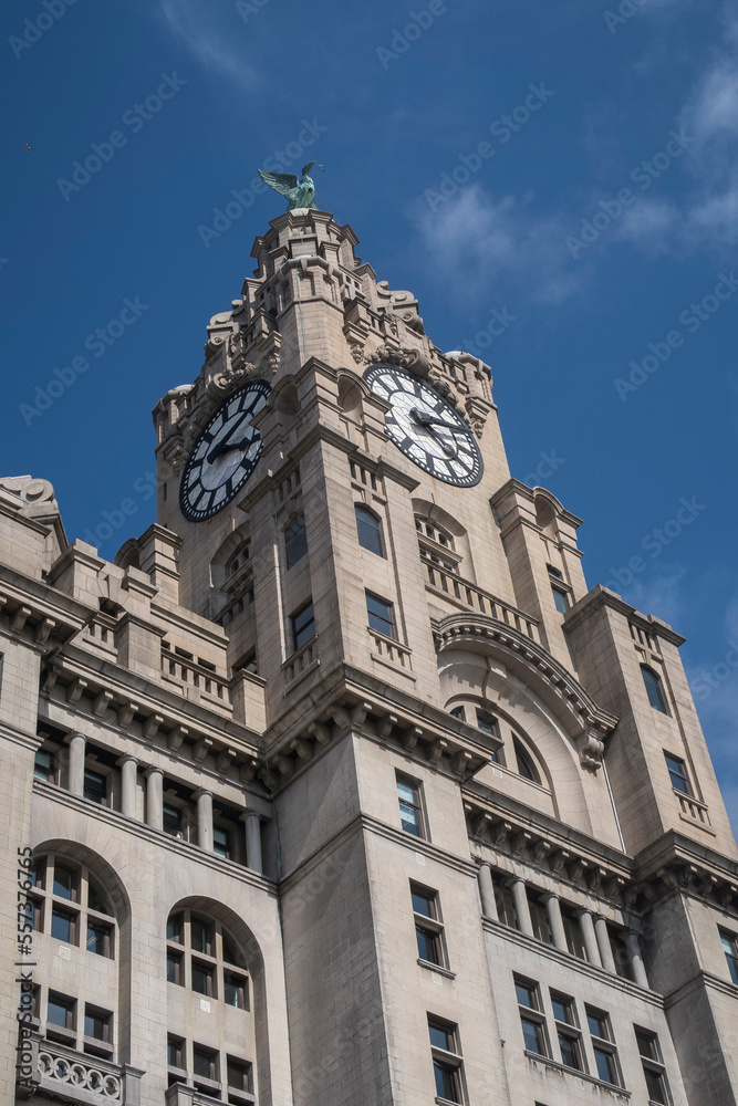 The Liver Bird on top of the Liver Building in Liverpool