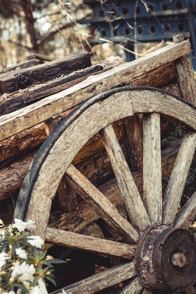 old wagon wheel