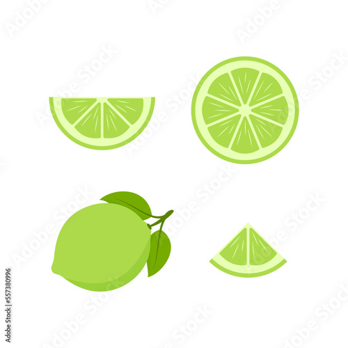 Set of limes. Lime slices. Fresh lime isolated on white background. Vector illustration.