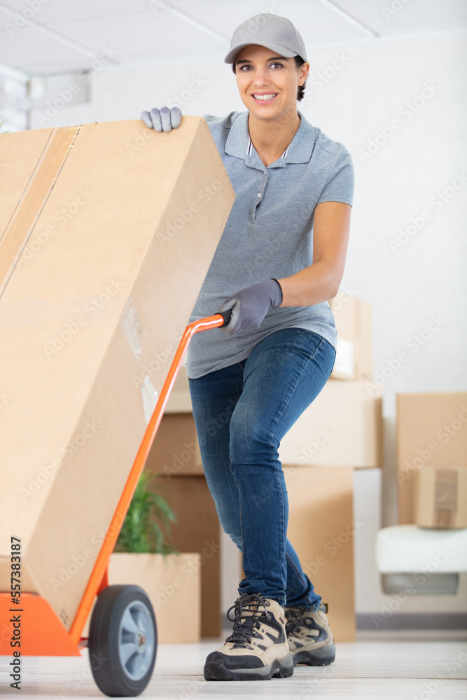 professional female mover doing home relocation - obrazy, fototapety, plakaty 