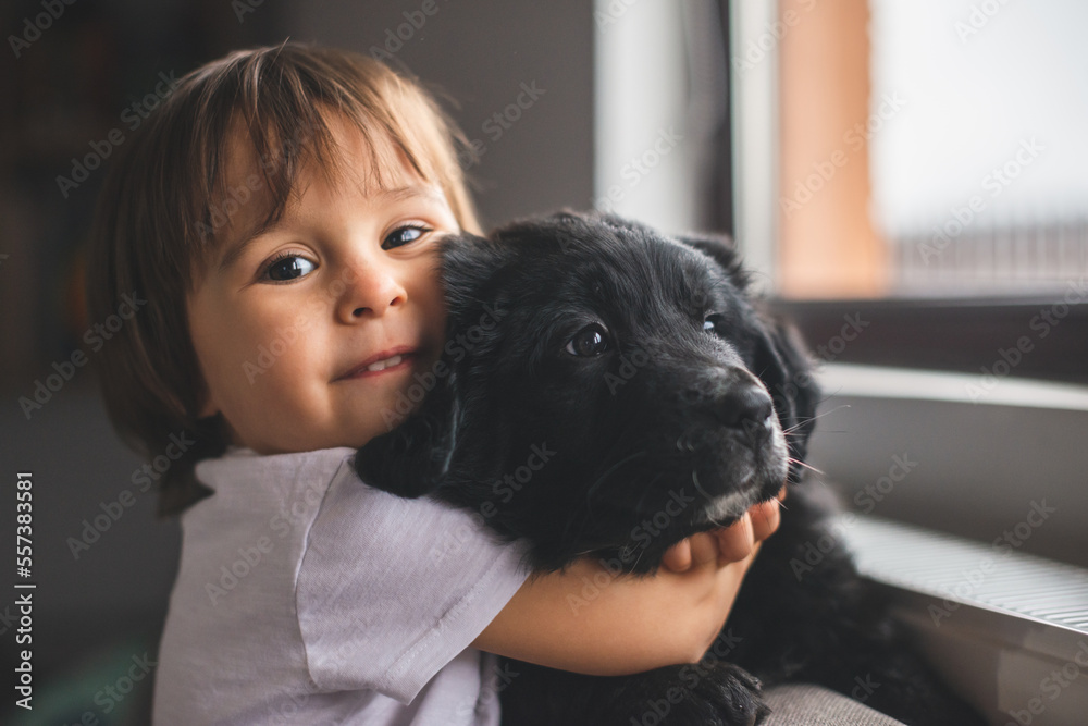 Cute little girl hug and play with her puppy Cute little girl hug and play with her puppy