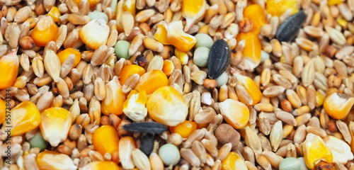Mix of corn and seeds for cooking