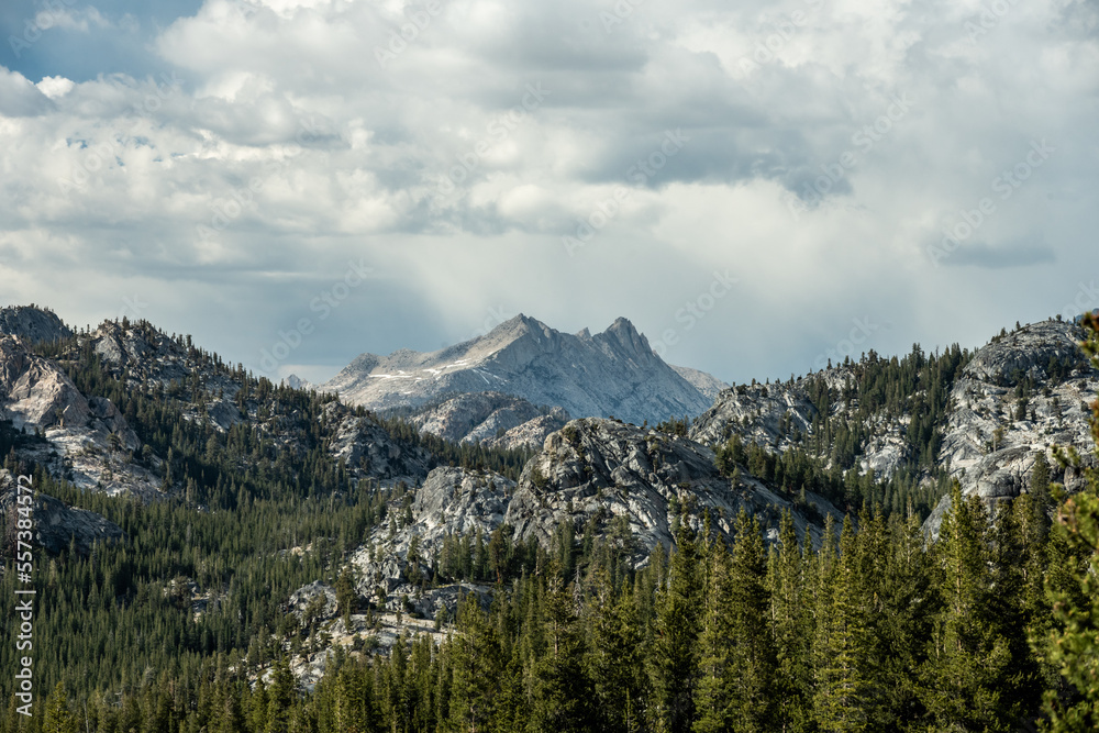Obraz premium Pine Trees and Clouds Sandwich the Granite Peaks of Yosemite