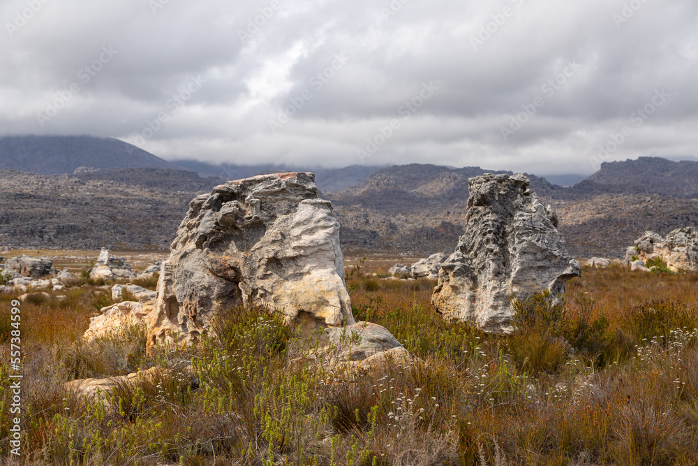 Some Rocks in the Mountains of the Western Cape near Porterville, South Africa