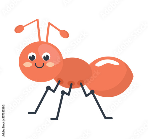 orange ant insect animal