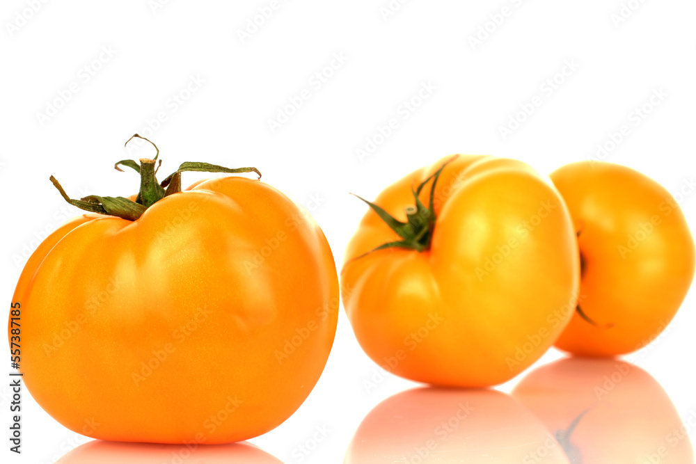 Three natural yellow tomatoes, close-up, on a white background. Three natural yellow tomatoes, close-up, on a white background.
