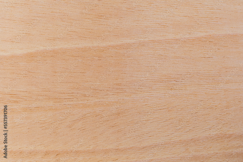 Light rough textured cut surface of an African tree. Wood background or blank for design Light rough textured cut surface of an African tree. Wood background or blank for design