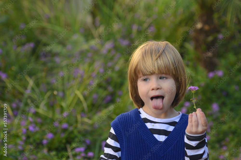 Portrait of a positive little boy with blond long hair, smile, laugh, charm. In the background, grass and purple flowers. Concept: mother's day card, spring day card, kindergarten advertisement Portrait of a positive little boy with blond long hair, smile, laugh, charm. In the background, grass and purple flowers. Concept: mother's day card, spring day card, kindergarten advertisement