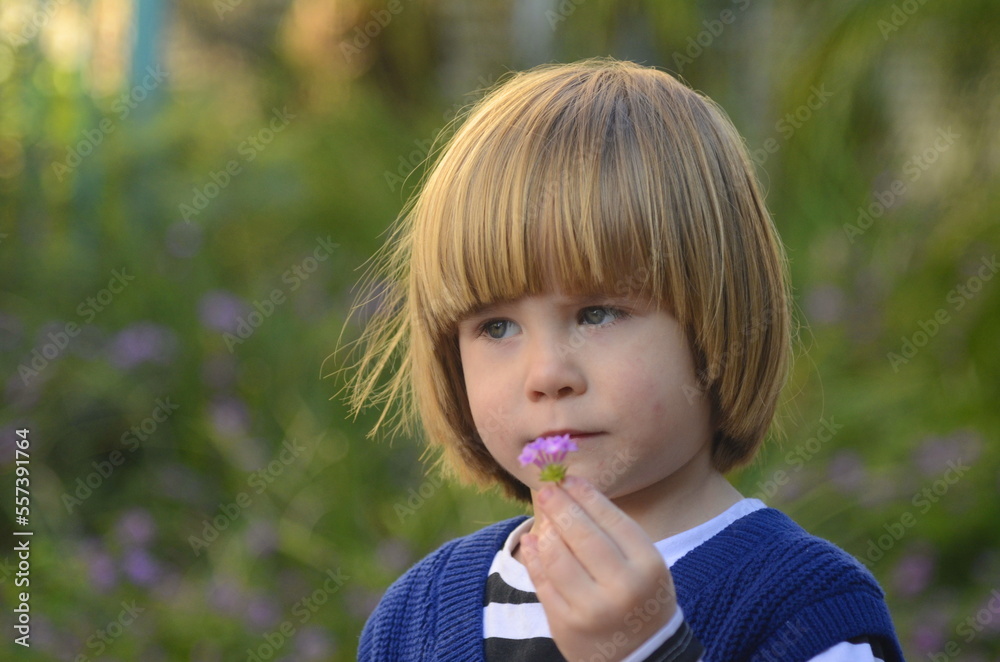 Portrait of a positive little boy with blond long hair, smile, laugh, charm. In the background, grass and purple flowers. Concept: mother's day card, spring day card, kindergarten advertisement Portrait of a positive little boy with blond long hair, smile, laugh, charm. In the background, grass and purple flowers. Concept: mother's day card, spring day card, kindergarten advertisement