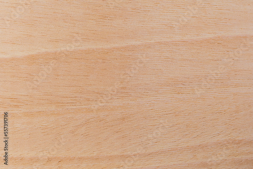 Light rough textured cut surface of an African tree. Wood background or blank for design