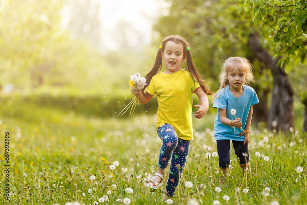 Fototapeta premium two little girls with dandelions little sister on the background of spring meadow.