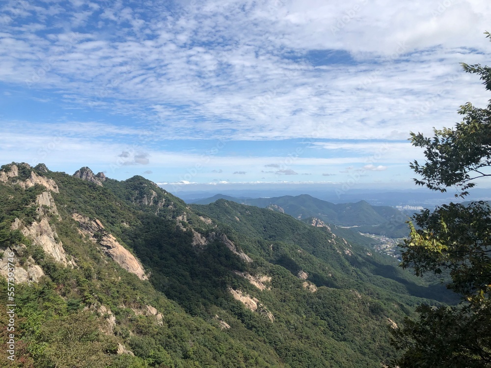 Naklejka premium view from the mountain