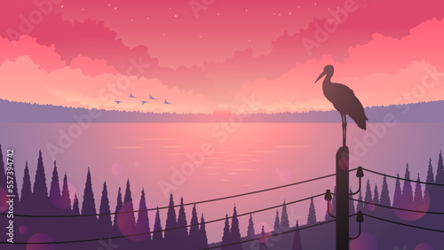 Stork sitting on wires on the background of sunset and lake. Wildlife landscape.