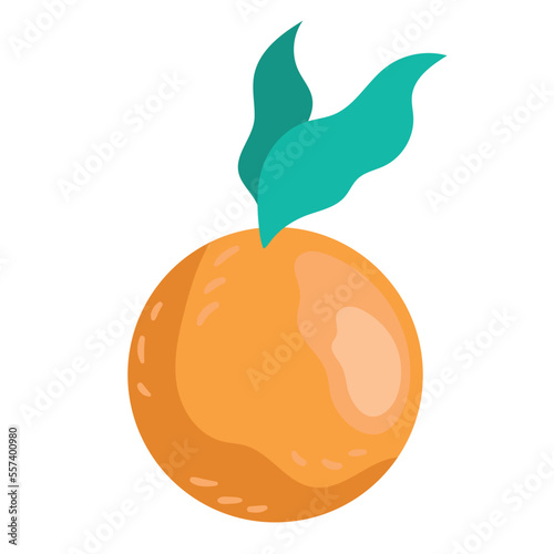 orange citrus fruit
