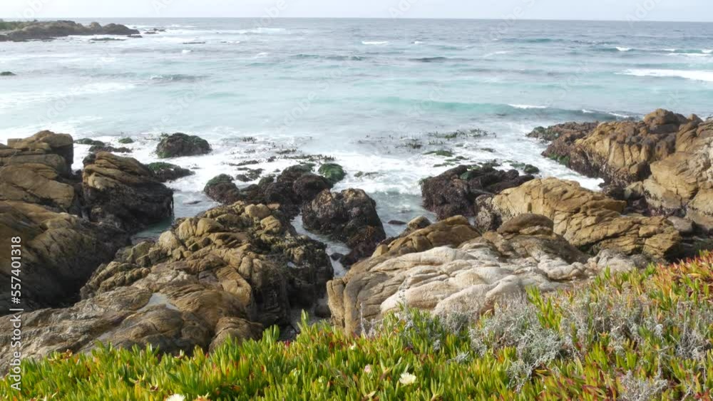 Scenic 17-mile drive, Monterey, California USA. Rocky craggy ocean, sea water waves crashing on rock. Pacific coast highway, wild nature near Point Lobos, Big Sur and Pebble beach. Succulent ice plant Scenic 17-mile drive, Monterey, California USA. Rocky craggy ocean, sea water waves crashing on rock. Pacific coast highway, wild nature near Point Lobos, Big Sur and Pebble beach. Succulent ice plant