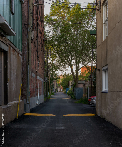 District Verdun Montreal.Downtown Montreal Street illuminated in first golden morning light at sunrise in summer  Quebec Canada. city sunlight warm orange