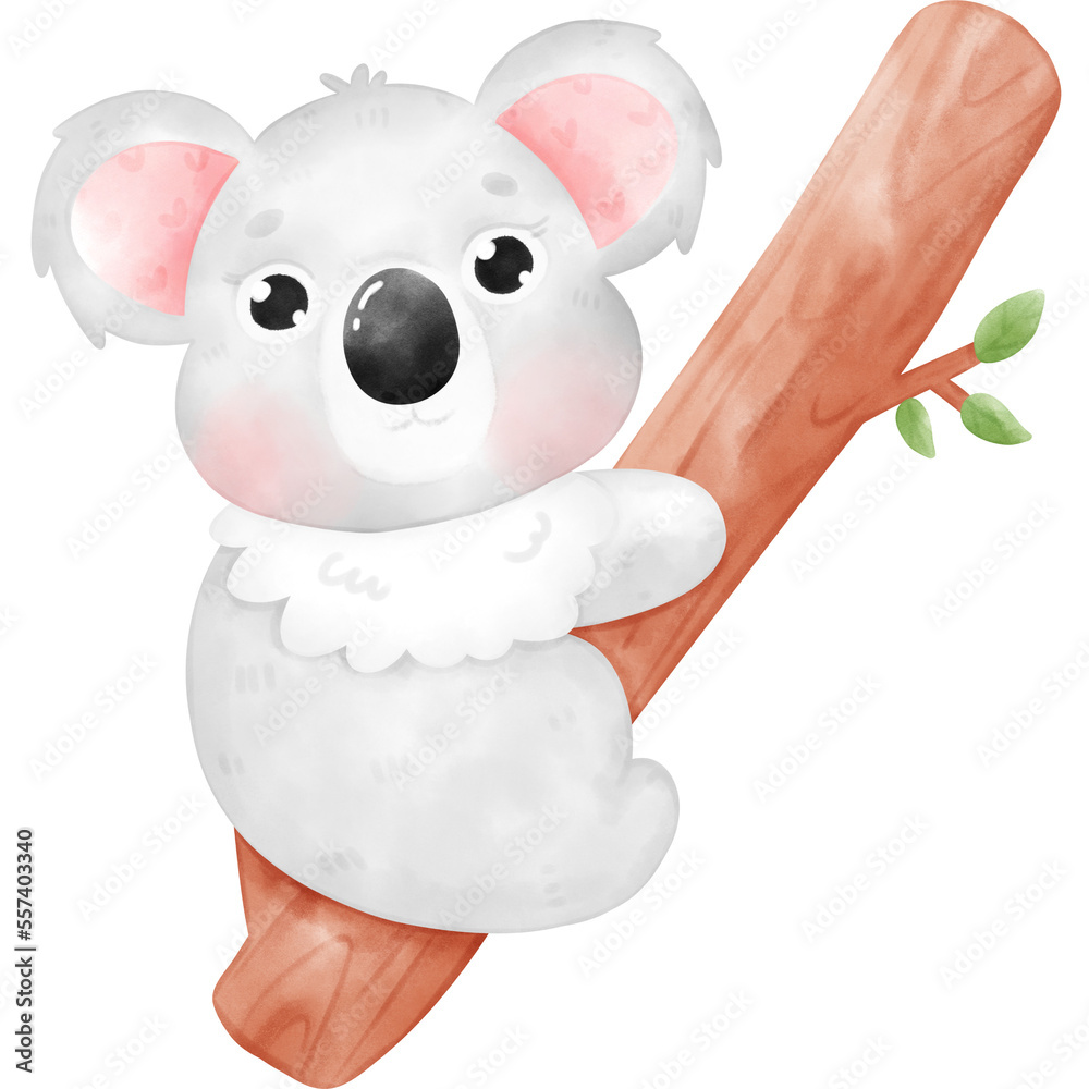 Fototapeta premium Cute Koala illustration