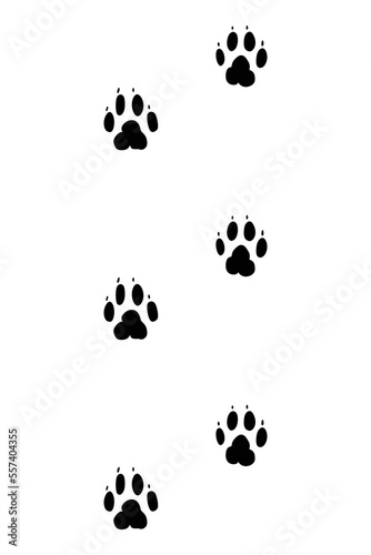 Animals feet track. Dog black paw  walking feet silhouette or footprints. Trace step imprints isolated on white. Walking tracks paws illustration