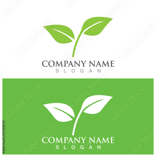leaf ecology  icon vector illustration template design