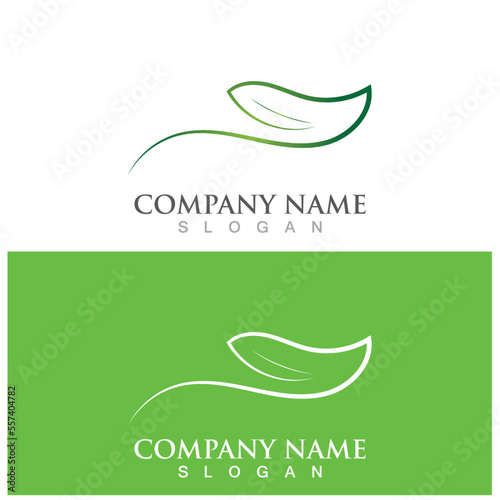 leaf ecology  icon vector illustration template design