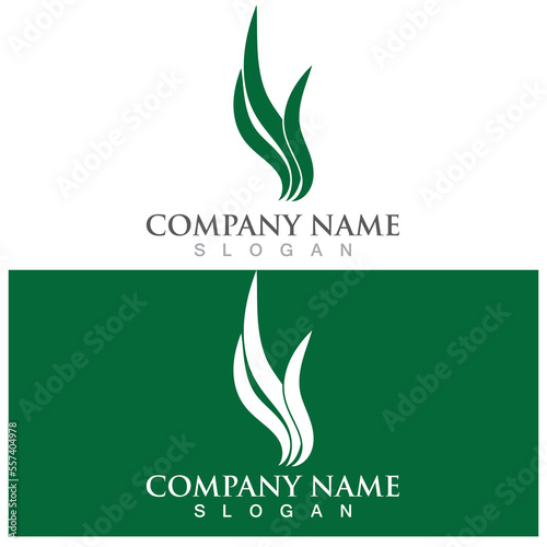 seaweed icon vector logo illustration